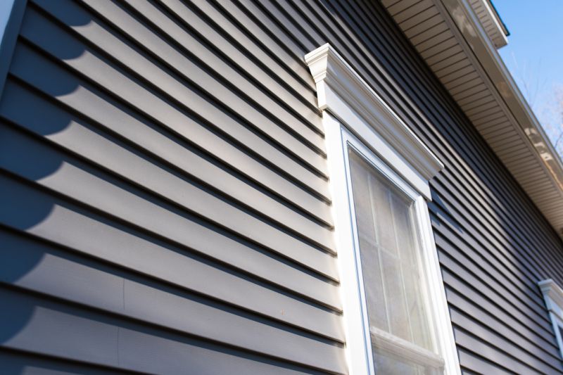 Innovative Siding Designs