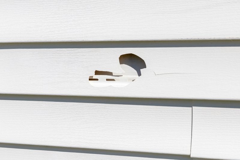 Crack Fix on Vinyl Siding